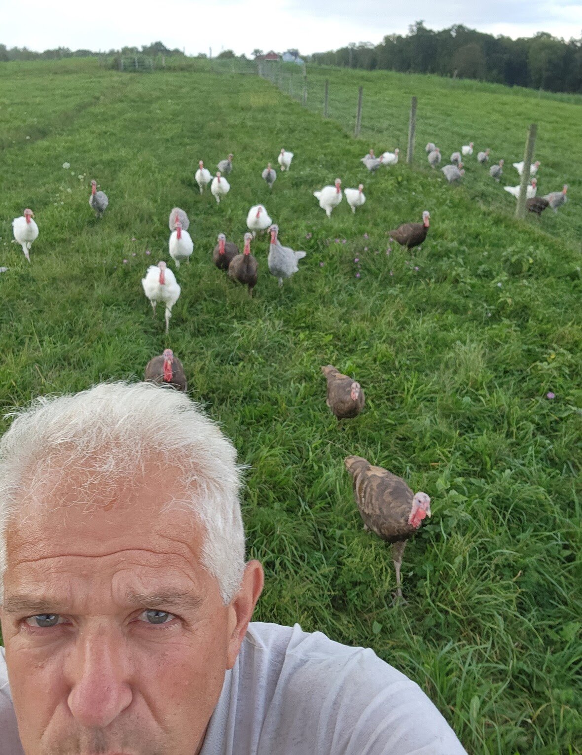 Turkey Talk on Turkana Farm