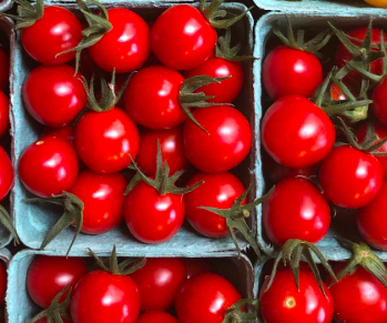 Organic Red Cherry Tomatoes, Pint - Obercreek Farm