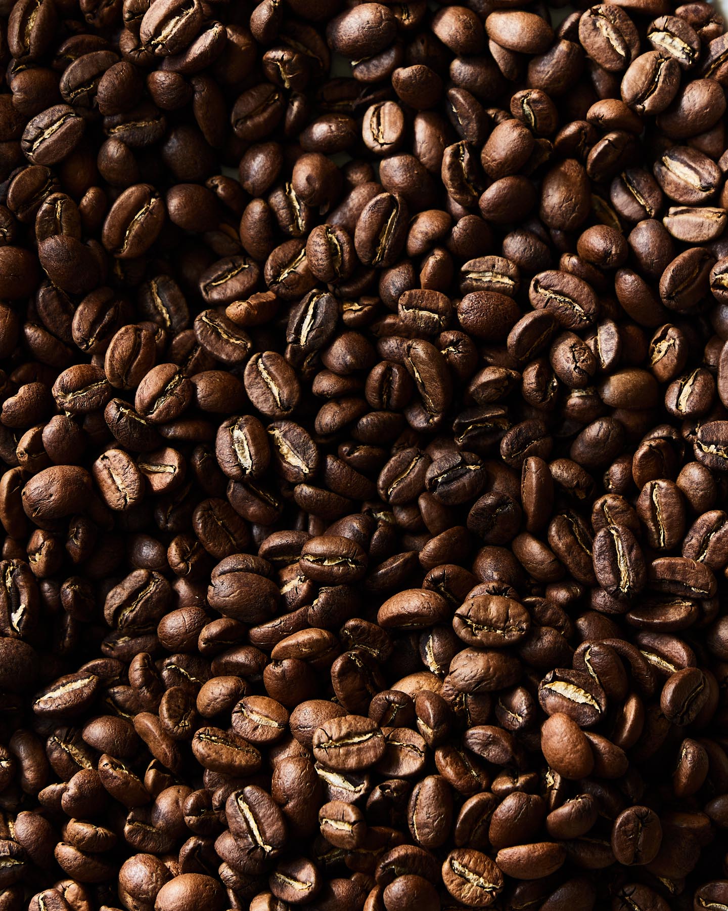 Organic Coffee Beans Light Roast