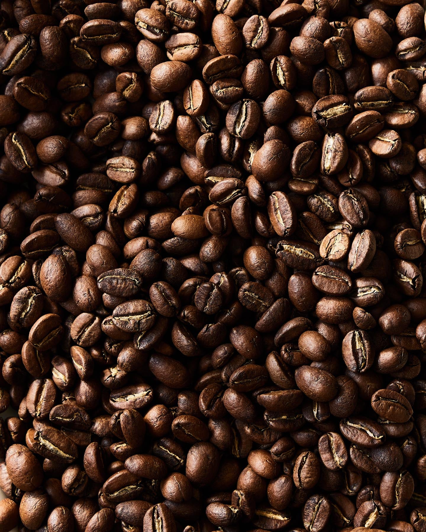 Organic Coffee Beans Medium Roast
