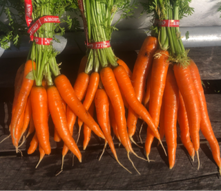 Carrots - Sun Sprout Farm